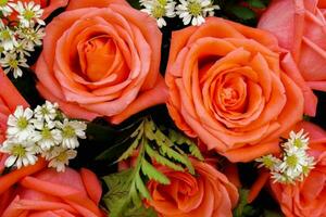 superiore Visualizza e avvicinamento di nozze rosa Rose fiore mazzo sfondo e sfondo. foto