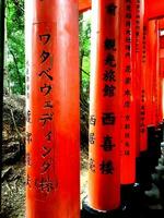 avvicinamento giapponese testi su torii cancelli a fushimi inari santuario nel kyoto, Giappone foto