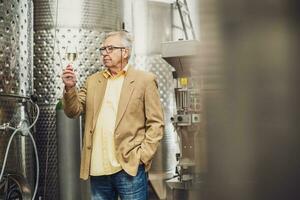 contento anziano uomo chi possiede un' azienda vinicola. industria vino fabbricazione concetto. foto