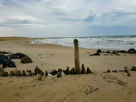 il infinito spiaggia a il settentrionale mare hvidbjerg incagliare blavanda Danimarca foto