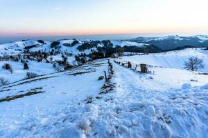 2023 01 128 campofontana Chiesa con neve foto