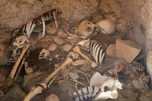 selettivo messa a fuoco. scheletro è nel il cripta. vecchio umano scheletro nel antico tomba a archeologico scavo. il dello scheletro gamba è nel il primo piano. foto