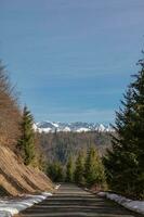 montagna, albero, neve primavera foto a partire dal slovacchia, liptov 10.04.2023