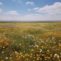 un' pianura campo con selvaggio fiori nel fiorire ai generato foto
