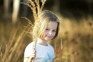 bellissimo poco ragazza nel un' prato con un' mazzo di erbe.bambino nel un' bellissimo estate campo. foto