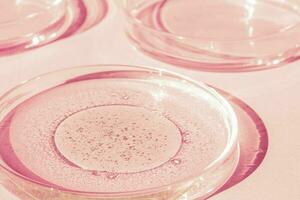 petri piatto. petri tazza con liquido. chimico elementi, olio, cosmetici. gel, acqua, molecole, virus. avvicinamento. su un' rosa sfondo. foto