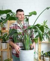 uomo pianta allevatore hold nel mano casa impianti strelitzia nel pentola a partire dal sua collezione a casa su il scaffali. ricerca per parassiti, cura, irrigazione, fertilizzanti. casa Ritaglia produzione foto