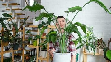 uomo pianta allevatore hold nel mano casa impianti strelitzia nel pentola a partire dal sua collezione a casa su il scaffali. ricerca per parassiti, cura, irrigazione, fertilizzanti. casa Ritaglia produzione foto