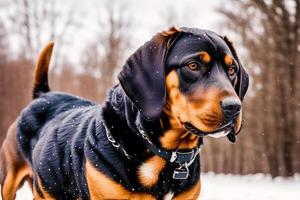 ritratto di un' bellissimo cane in piedi nel il parco. generativo ai foto