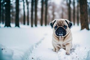 carino di razza carlino cane. ritratto di un' bellissimo carlino cane giocando nel il parco. generativo ai foto