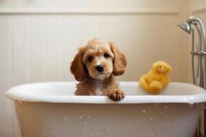 lavaggio animale domestico. carino cane nel bagno con shampoo schiuma. generativo ai foto