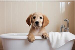 lavaggio animale domestico. carino cane nel bagno con shampoo schiuma. generativo ai foto