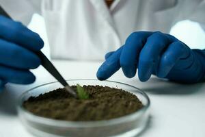 laboratorio biologia suolo ricerca scienza foto