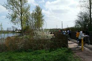 Basso angolo Visualizza di volontà lago parco con Locale e turista pubblico godendo il bellezza di lago e parco di a piedi in giro con loro famiglie. metraggio era catturato su 09-aprile-2023 a Milton keynes UK foto