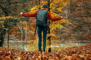 donna nel un' maglione e jeans e stivali nel autunno nel un' parco nel natura vicino il fiume foto