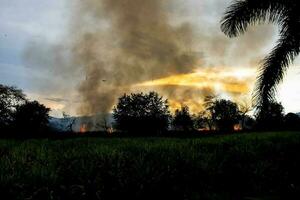 zucchero canna fuoco ardente nel campo a Valle del cauca nel Colombia foto