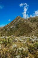 bellissimo paesaggio di colombiano andino montagne mostrando paramo genere vegetazione nel il Dipartimento di cundinamarca foto