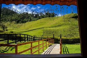 il bellissimo cocco valle a il quindio regione nel Colombia visto attraverso il finestra foto