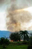 zucchero canna fuoco ardente nel campo a Valle del cauca nel Colombia foto