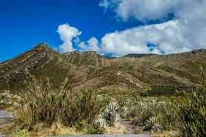 bellissimo paesaggio di colombiano andino montagne mostrando paramo genere vegetazione nel il Dipartimento di cundinamarca foto