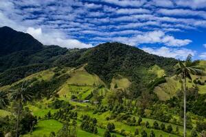 Visualizza di il bellissimo nube foresta e il quindio cera palme a il cocco valle collocato nel salento nel il quindio regione nel Colombia. foto