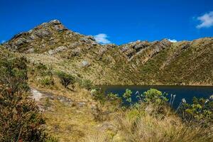 bellissimo paesaggio di colombiano andino montagne mostrando paramo genere vegetazione nel il Dipartimento di cundinamarca foto