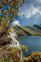 bellissimo paesaggio di colombiano andino montagne mostrando paramo genere vegetazione nel il Dipartimento di cundinamarca foto