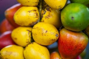 esotico tropicale frutta chiamato chontaduro. bactris gasipae. foto