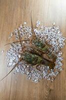 Due is aragoste a partire dal Giappone posto su un' di legno tavola sfondo con ghiaccio foto