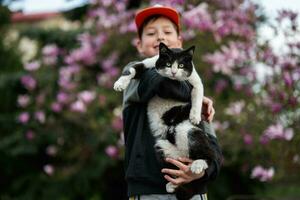 ragazzo nel berretto hold gatto nel mani contro simpatico primavera giorno vicino magnolia fioritura albero. foto