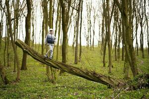 ragazzo scalato un' abbattuto albero nel primavera foresta. contento infanzia momenti. foto