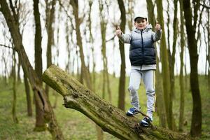 ragazzo scalato un' abbattuto albero nel primavera foresta e mostrare pollici su. contento infanzia momenti. foto