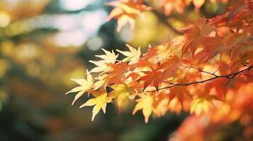 autunno le foglie sfondo illustrazione ai generativo foto