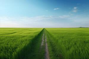 il paesaggio di erba i campi e blu cielo strada principale via in il distanza. generativo ai. foto