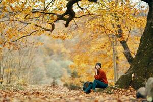bellissimo donna nel un' jeans maglione si siede su il le foglie vicino un' albero paesaggio autunno parco foresta foto