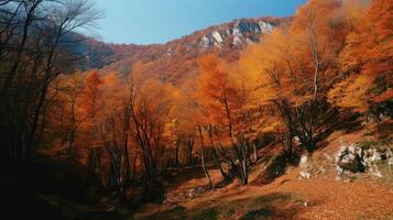 autunno nel montagne. illustrazione ai generativo foto