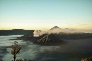 bellissimo colorato Alba al di sopra di montare bromo e selvaggio isola nel montare bromo nazionale parco foto