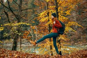 il viaggiatore passeggiate nel natura nel il parco e alto alberi giallo le foglie fiume nel il sfondo paesaggio foto