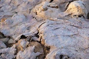 trama astratta creata da sale e fango sulla riva del lago salato di Larnaca foto
