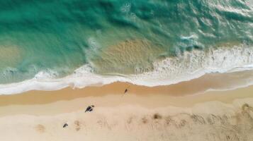 spiaggia e oceano. illustrazione ai generativo foto