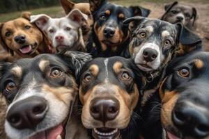autoscatto di un' gruppo di cani su un' sfondo di altro cani generativo ai foto