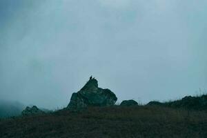 montagne pietre uccelli nebbia paesaggio fresco aria foto