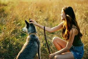 un' donna si siede Il prossimo per sua cane amico rauco nel un' campo di erba e detiene il cane su un' guinzaglio mentre guardare a il tramonto di il autunno sole foto