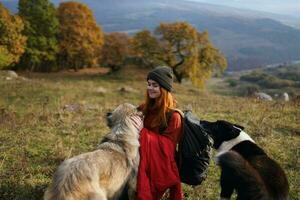 donna con zaino nel natura Il prossimo per cane camminare amicizia foto