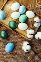 Pasqua uova verbena fiori tradizione decorazione superiore Visualizza foto