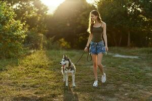 donna e sua rauco cane a piedi felicemente su il erba nel il parco Sorridi con denti nel il autunno camminare con sua animale domestico, viaggio con un' cane amico foto