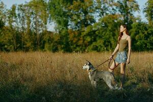 donna e sua rauco cane felicemente camminare e correre attraverso il erba nel il campo Sorridi con denti autunno tramonto camminare con un' animale domestico, viaggio con un' amico cane felicità stile di vita foto