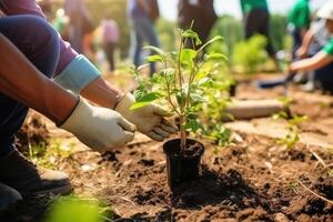 piantare alberi per sostenibile cibo produzione creato con generativo ai tecnologia. foto