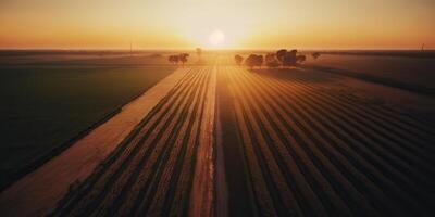 ai generato. ai generativo. foto realistico illustrazione di selvaggio campagna paesaggio Texas nel America. contadino avventura selvaggio stile di vita vibrazione. grafico arte