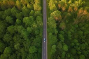 aereo Visualizza strada e foresta. strada andando attraverso foresta con auto Visualizza a partire dal sopra. generativo ai foto